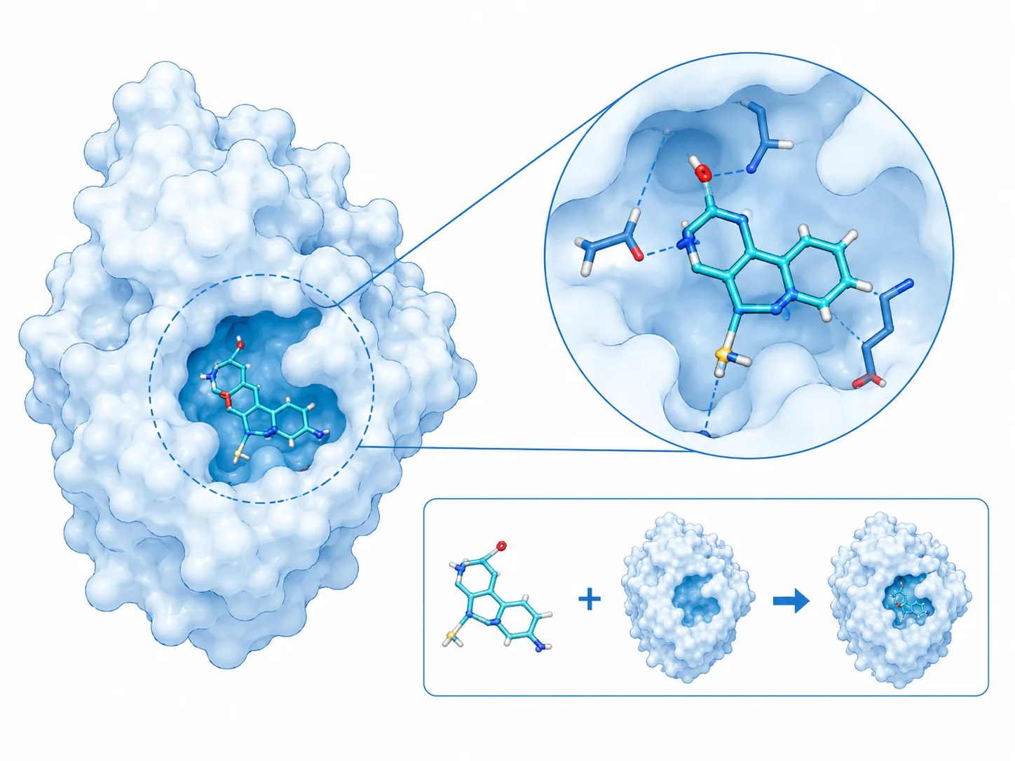 Scientific illustration of a small molecule docking into a receptor pocket