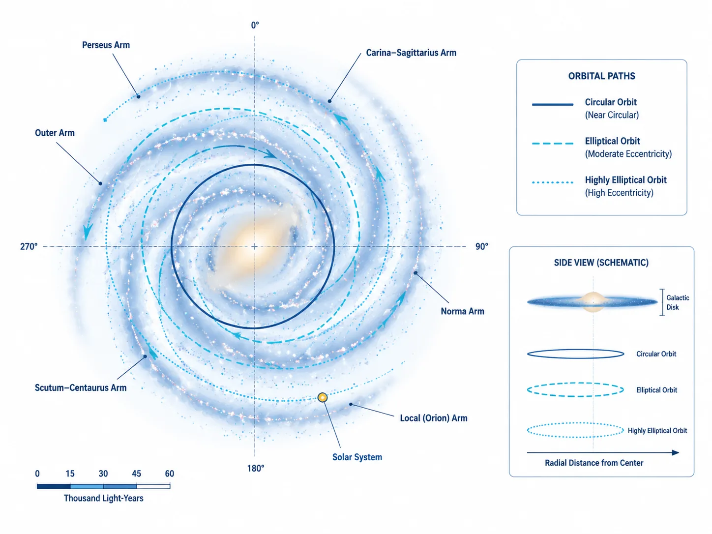 Detailed visualization of a spiral galaxy and orbital structure