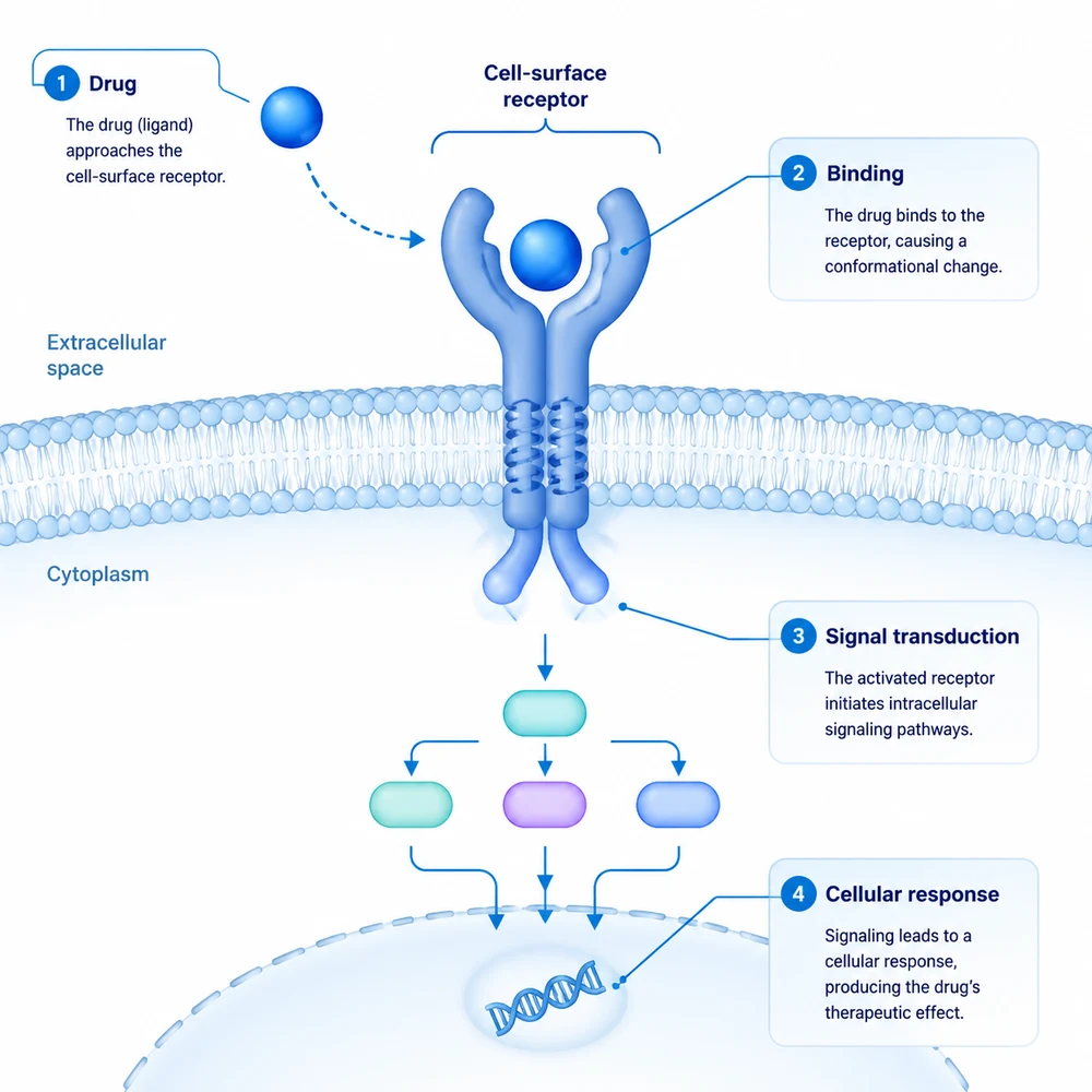 AI-generated drug receptor binding illustration